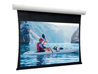 Da-Lite Tensioned Elpro Concept - Projektorduk - takmontering, väggmontering - motoriserad - 230 V - 112.99" (287 cm) - 16:9 - HD Progressive 1.1 Contrast - RAL 9016, matt vit 10101046
