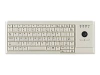 Active Key IndustrialKey AK-4400-T - Tangentbord - PS/2 - amerikansk - vit AK-4400-TP-W/US