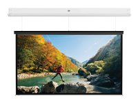 Da-Lite DescenderPro - Projektorduk - takmontering, väggmontering - motoriserad - 230 V - 153.15" (389 cm) - 16:10 - Matte White - matt vit, RAL 9016 10146803