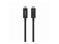 Belkin CONNECT - Thunderbolt-kabel - 24 pin USB-C (hane) vändbar till 24 pin USB-C (hane) vändbar - Thunderbolt 4 - 1 m - passiv, USB-strömförsörjning (100W) - för P/N: INC006TTSGY INZ003BT1MBK