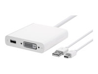 Apple - DVI-adapter - dubbel länk - USB, Mini DisplayPort (hane) till USB, DVI-D (hona) MB571Z/A
