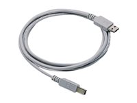HP - USB-kabel - USB (hane) till USB typ B (hane) - 5 m - för Color LaserJet 2820, 2840; DesignJet 10, 130, 20, 50, 500, 5500, 800 C2392A