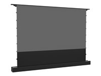 Multibrackets M - Projektionsskärm med golvställ - LS, elektrisk, stigande, RS232 - fristående - motoriserad - 84" (213 cm) - 16:9 - ALR UST - svart 7350105218606