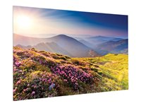Da-Lite FullVision - Projektorduk - väggmontering - 158" (402 cm) - 16:9 - Matte White 10600672