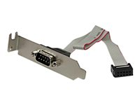StarTech.com 9 Pin Serial Male to 10 Pin Motherboard Header LP Slot Plate - Serial panel - DB-9 (M) to 10 pin IDC (F) - 9.1 in - gray - PLATE9MLP - Seriell panel - DB-9 (hane) till 10 pin IDC (hona) - 23 cm - grå PLATE9MLP