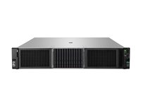 HPE ProLiant DL380 Gen11 Network Choice - kan monteras i rack Xeon Silver 4410Y 2 GHz - 32 GB - ingen HDD P52560-421