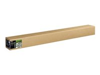 Epson Fine Art II - Bomull - strukturerad matt - 400 mikron - benvit - Rulle (162,6 cm x 15 m) - 300 g/m² - 1 rulle (rullar) box - lumppapper C13S450280NQ