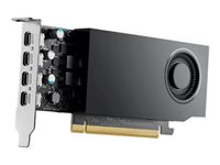 NVIDIA RTX A1000 - Grafikkort - RTX A1000 - 8 GB GDDR6 - PCIe 4.0 x8 låg profil - 4 x Mini DisplayPort DELL-WN82J