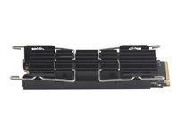 HP Z Turbo Drive Kit - SSD - 512 GB - inbyggd - PCIe 4.0 x4 - för Workstation Z6 G5 56Q73AA