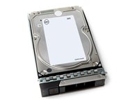 Dell - Kundsats - hårddisk - 24 TB - 512e, ISE - hot-swap - 3.5" - SAS 12Gb/s - 7200 rpm 161-BCNM