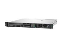 HPE ProLiant DL20 Gen11 - kan monteras i rack Xeon E-2434 3.4 GHz - 32 GB - HDD 2 x 2 TB P78179-425