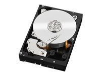 WD RE WD5003ABYZ - Hårddisk - 500 GB - inbyggd - 3.5" - SATA 6Gb/s - 7200 rpm - buffert: 64 MB WD5003ABYZ